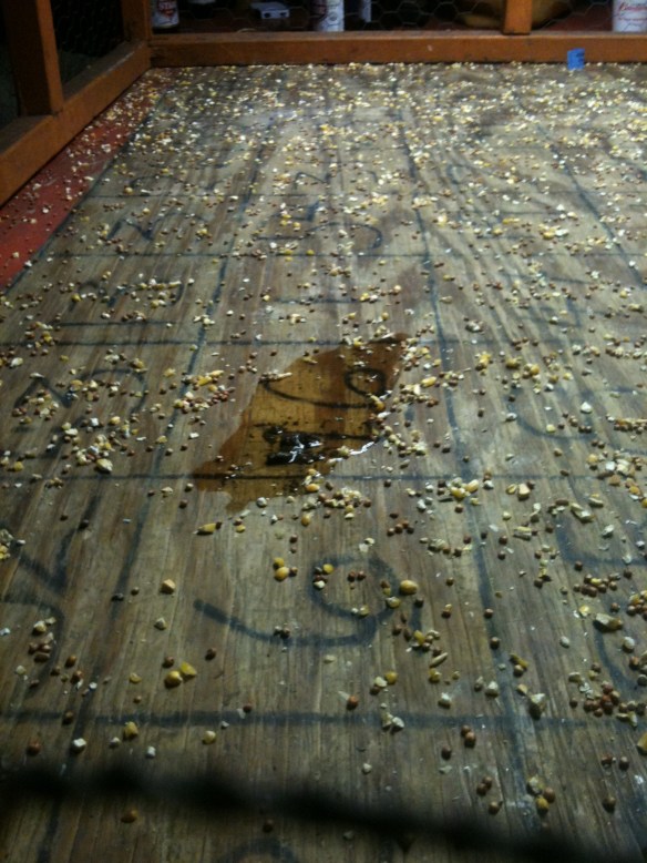 Chicken Shit Bingo winning shot